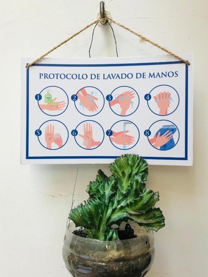 Casa Mama Waldy Hostel Cartagena 外观 照片